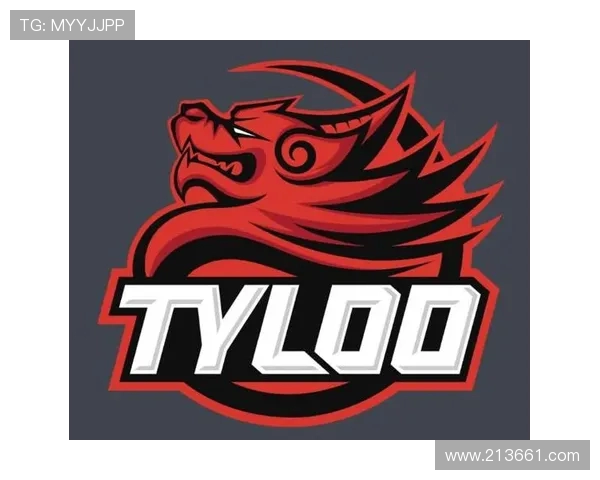 CSGO战术解析TES战队防守体系的核心要素与实战应用 CSGO战术解析TES战队防守体系的核心要素与实战应用