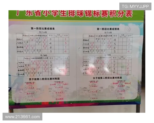 南京排球队在全国排球团队协作排行榜中荣获第十名的佳绩分析