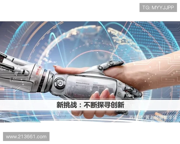 南京篮球队转型之路的挑战与机遇全面解析