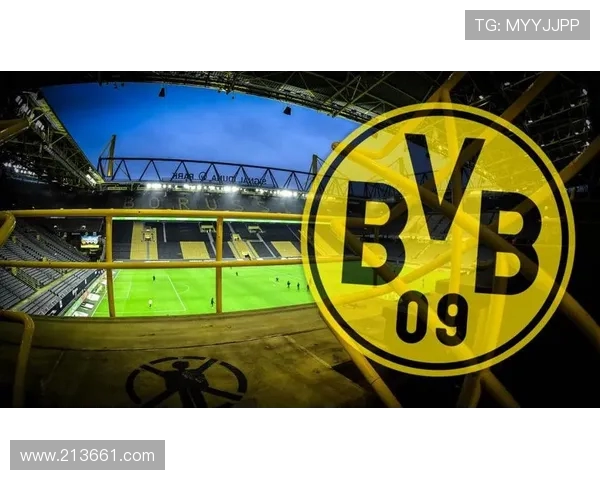 Virtus.pro绝地求生战队强势崛起全面解析团队战术与夺冠之路